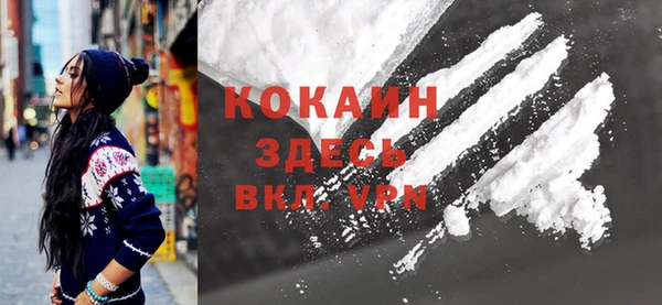 ECSTASY Алзамай