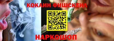 Альфа ПВП Моздок