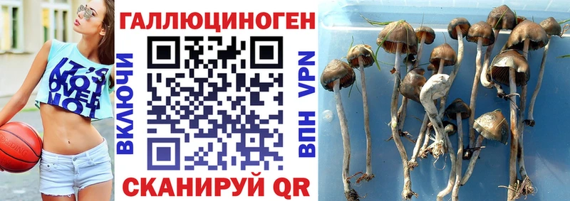 где купить наркоту  Бахчисарай  Галлюциногенные грибы MAGIC MUSHROOMS 