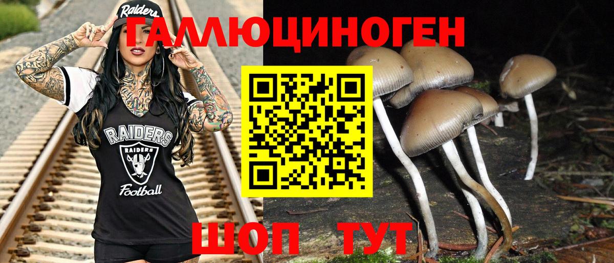 Псилоцибиновые грибы Cubensis Бахчисарай