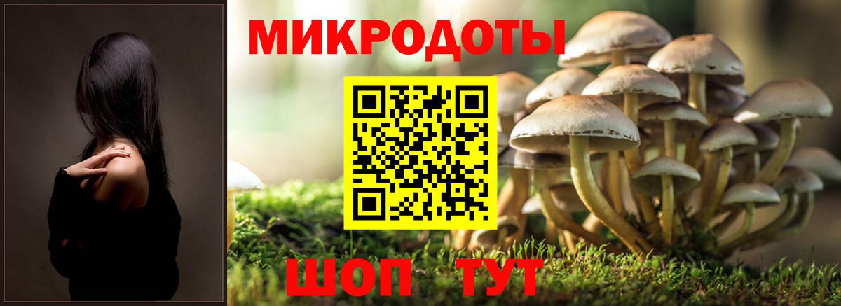Псилоцибиновые грибы Cubensis  Вход с VPN  Галлюциногенные грибы Psilocybe  Бахчисарай 